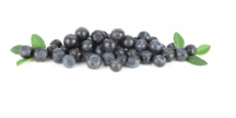 Blueberries, blueberry recipe
